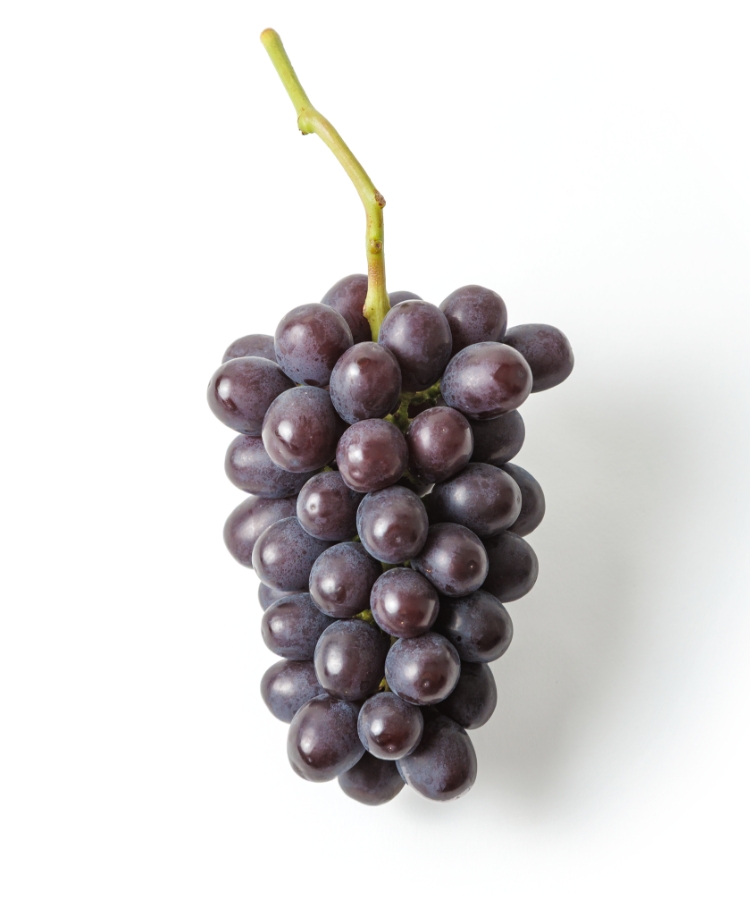 マスカットノワール