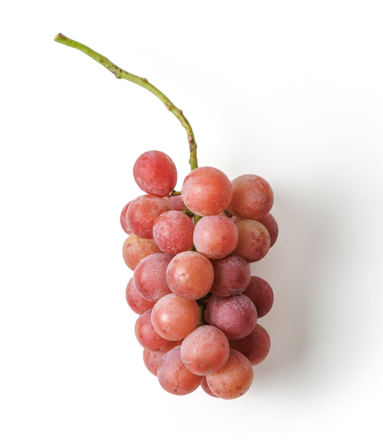 クイーンニーナ