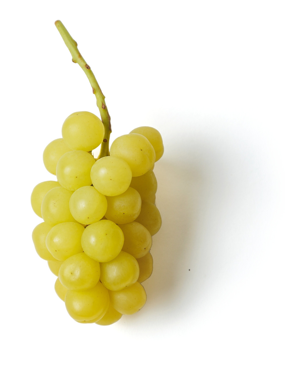 マスカサーティーン